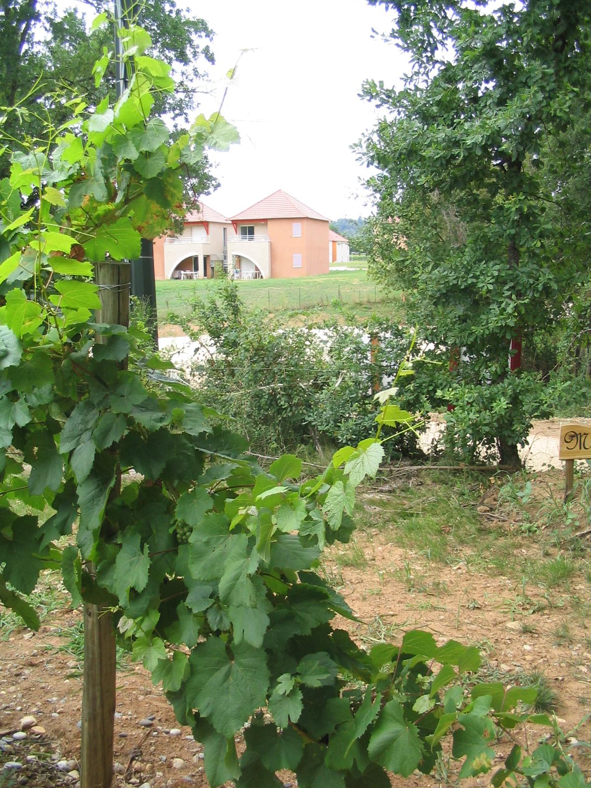 فندق Terres De France - Domaine De Claire Rive Prayssac المظهر الخارجي الصورة